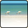 Strand von Bonita Springs